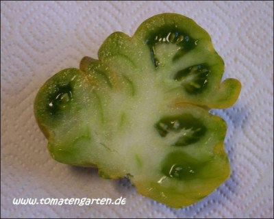green_bell_pepper_14.jpg.jpg