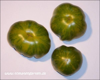 green_bell_pepper_30.jpg.jpg