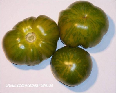 green_bell_pepper_31.jpg.jpg