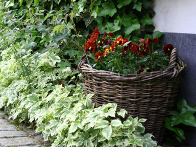 Dina-Romantik-4.jpg