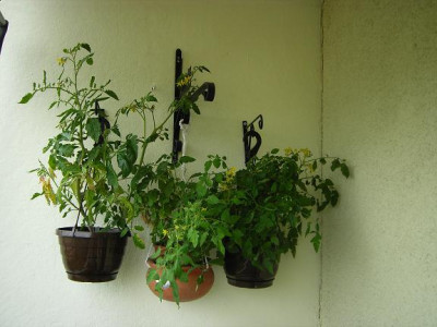 www.am_2006_06.22_T.3..jpg
