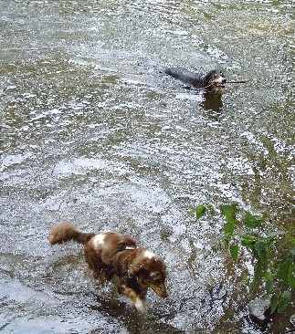 Gizmo-Bailey-074.jpg