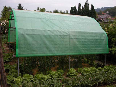 tomatenhaus_aussen.jpg