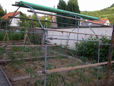 tomatenhaus_dach_oben35057.jpg