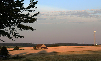 4.8. in the early light.jpg