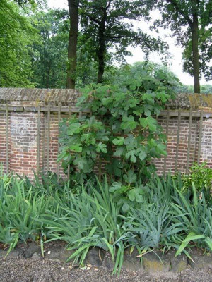 Schlossgarten-9.jpg