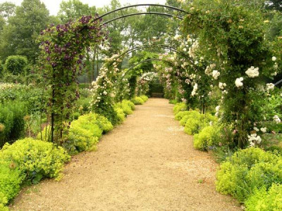 Schlossgarten-2.jpg