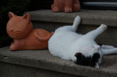 DSC_4627_00001.jpg