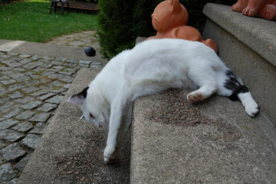 DSC_4632_00006.jpg