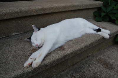 DSC_4638_00012.jpg