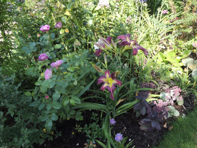 DSCN7989_853.JPG