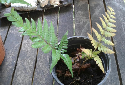 20150805_144755-1.jpg