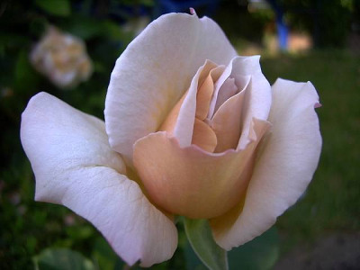 DSC00063-1.JPG