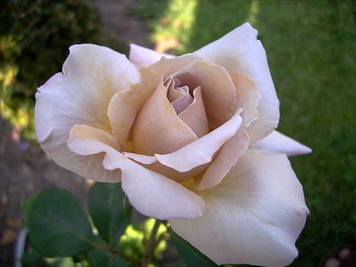 DSC00064-1.JPG