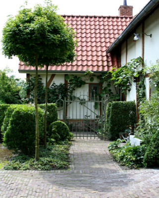 Dautenhof-11.jpg