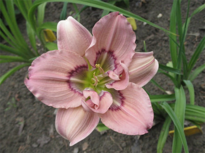 188-8876a_IMG.jpg