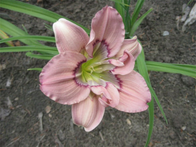 188-8879a_IMG.jpg