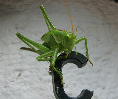Flip_28.06.06_060.jpg
