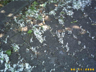 2006_0613Bild0008.JPG