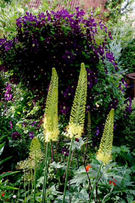 Garten_2306062.jpg