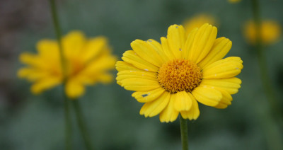 Garten-der-Sinne-3.jpg