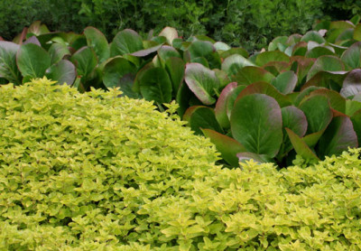 Garten-der-Sinne-8.jpg