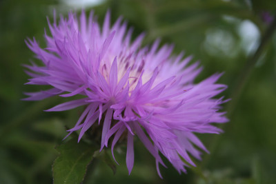 Garten-der-Sinne-11.jpg