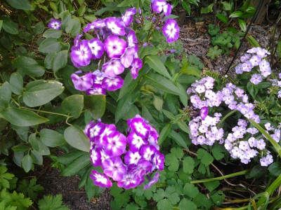 20150806_174739.jpg