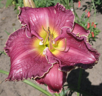 189-8966ab_IMG.jpg