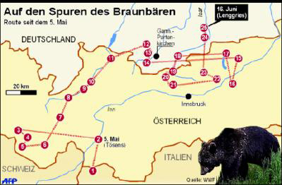01554915577.jpg
