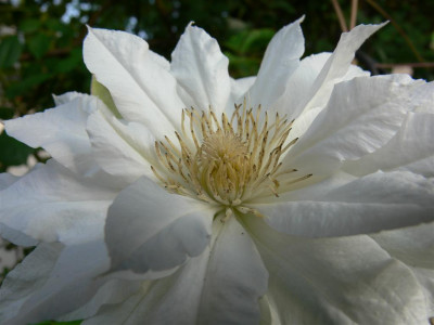 P1010470_Large.JPG