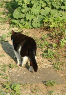 Titz-klein_041.jpg