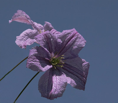 strahlender-Sommertag-2.jpg