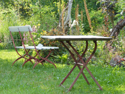 2015-08-08 Gartenimpressionen 13.jpg