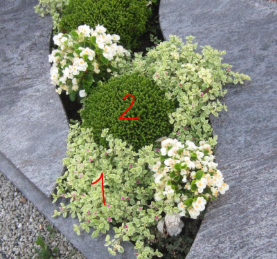 friedhof.jpg