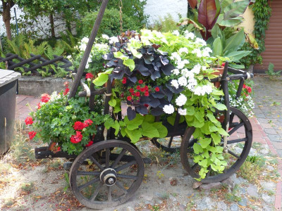 2015-08-08 Hundewagen.jpg