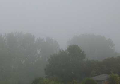8.8. nebel.jpg