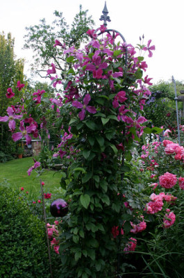 Cl.int.Pangbourne Pink0607b.jpg