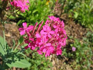 IMG_1763.JPG