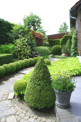 Janssen-Meyers-1.jpg