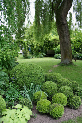 Janssen-Meyers-7.jpg