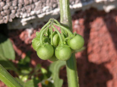 DSCN5660.JPG