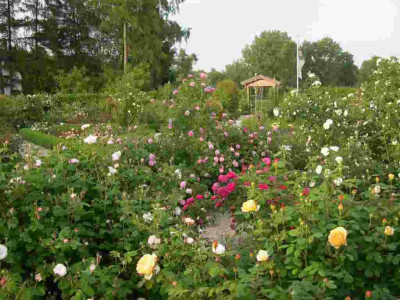 Rosengarten_mit_Eingang_Inter.jpg