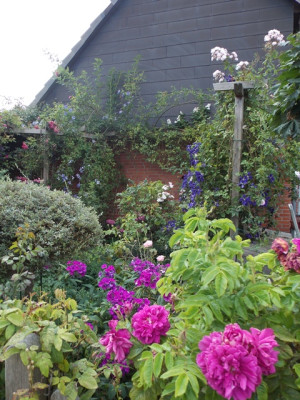 DSCN7444v.JPG