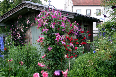 Cl.int.Pangbourne Pink0407a.jpg