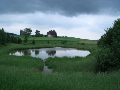 teich12-b.jpg