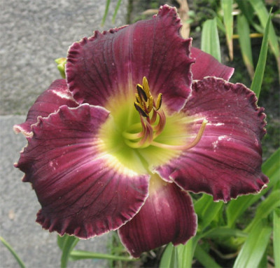 192-9246ab_IMG.jpg