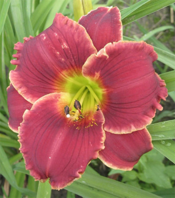 192-9251ab_IMG.jpg