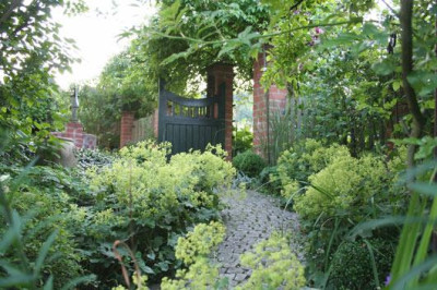 Garten-Anfang-Juli.jpg