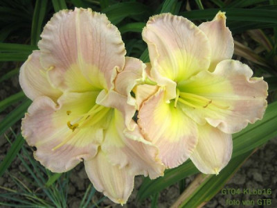 GT04-KLbb16__18701.jpg